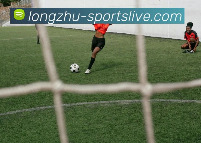 龙珠体育比分品牌故事